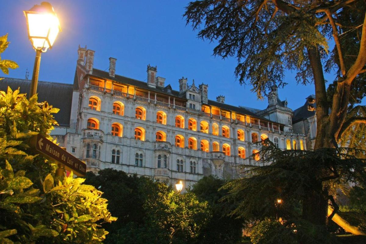 Les Mansardes Du Centre Ville ,Vue Loire Blois Exterior foto